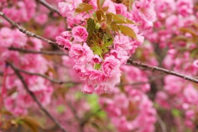 爱游戏体育官方网站-“战术变化：比赛中的智慧博弈”，比赛战术名词解释