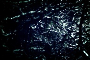 AYX GAME-“战术对决：布置与应变中的精彩瞬间”，战术队伍